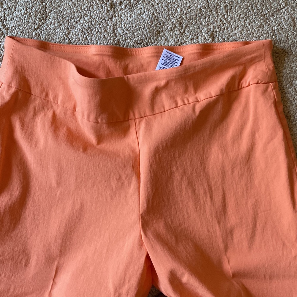 Ruby Rd. Pants - Picture 2 of 5